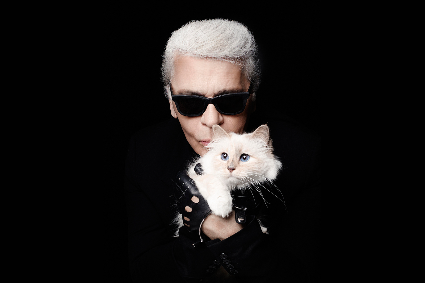 Cô mèo truyền cảm hứng cho phong cách thời trang của nhiều sao tại Met Gala đẹp thế nào mà Karl Lagerfeld say đắm đến mức &quot;muốn cưới&quot;? - Ảnh 7.