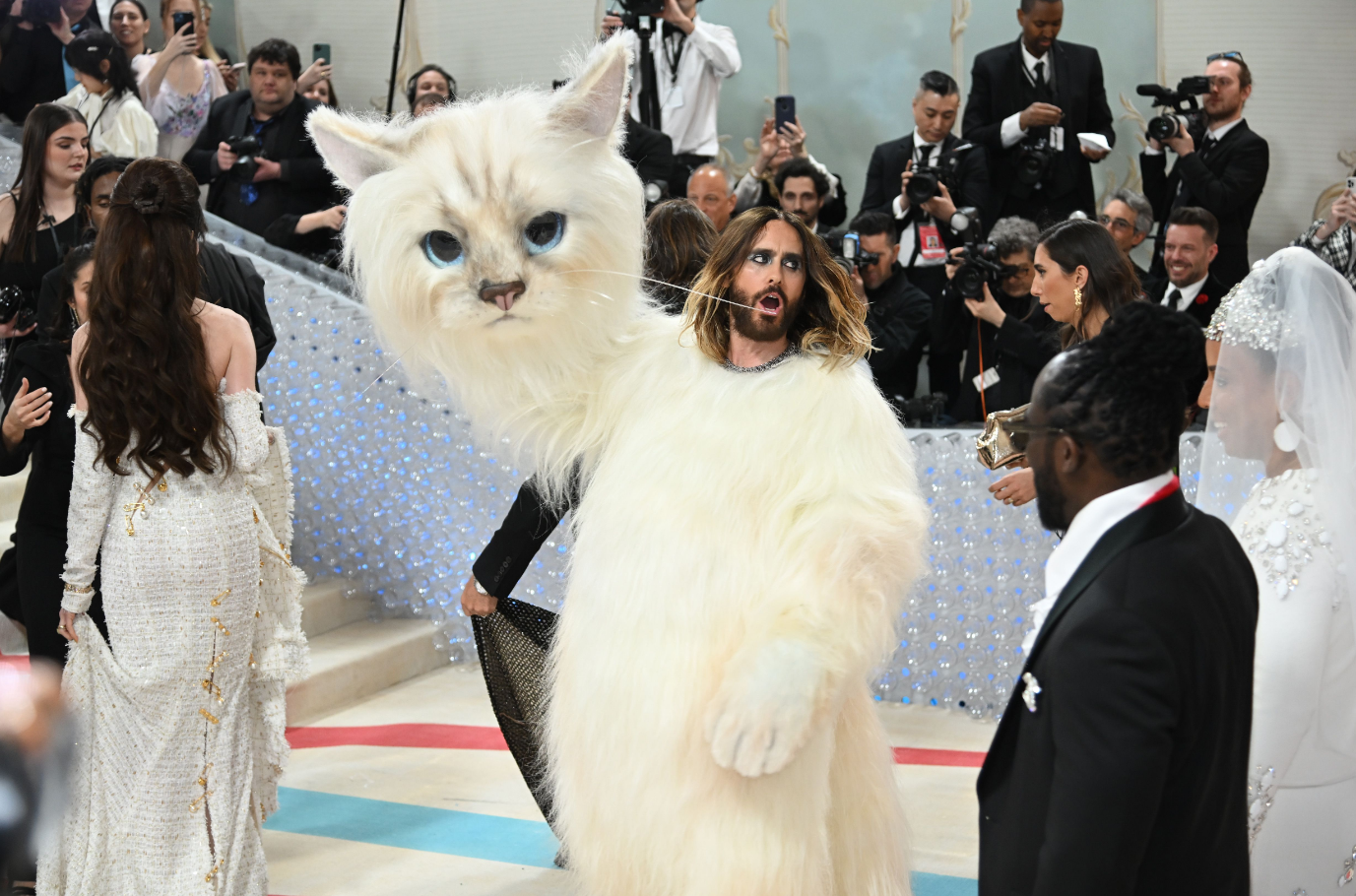 Cô mèo truyền cảm hứng cho phong cách thời trang của nhiều sao tại Met Gala đẹp thế nào mà Karl Lagerfeld say đắm đến mức &quot;muốn cưới&quot;? - Ảnh 3.