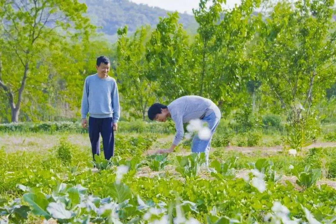Kiếm đủ tiền, cựu giám đốc công nghệ của Tencent từ chức về quê mua 133.000m2 đất làm trang trại sống ẩn dật, mất 3 năm mới xây dựng thành công - Ảnh 8.