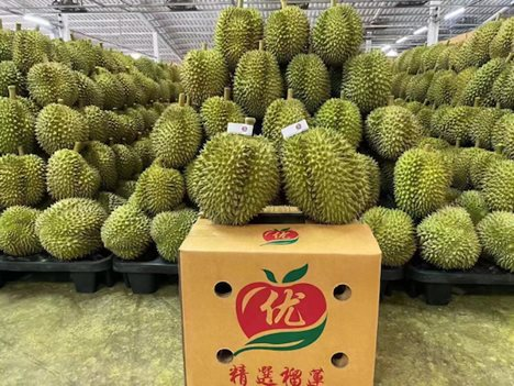 Trung Quốc tiêu thụ gần 1 triệu tấn/năm lại đặc biệt thích hàng Việt Nam - cơ hội vàng để Việt Nam thu tỷ USD từ xuất khẩu loại 'trái cây vua' này - Ảnh 4.