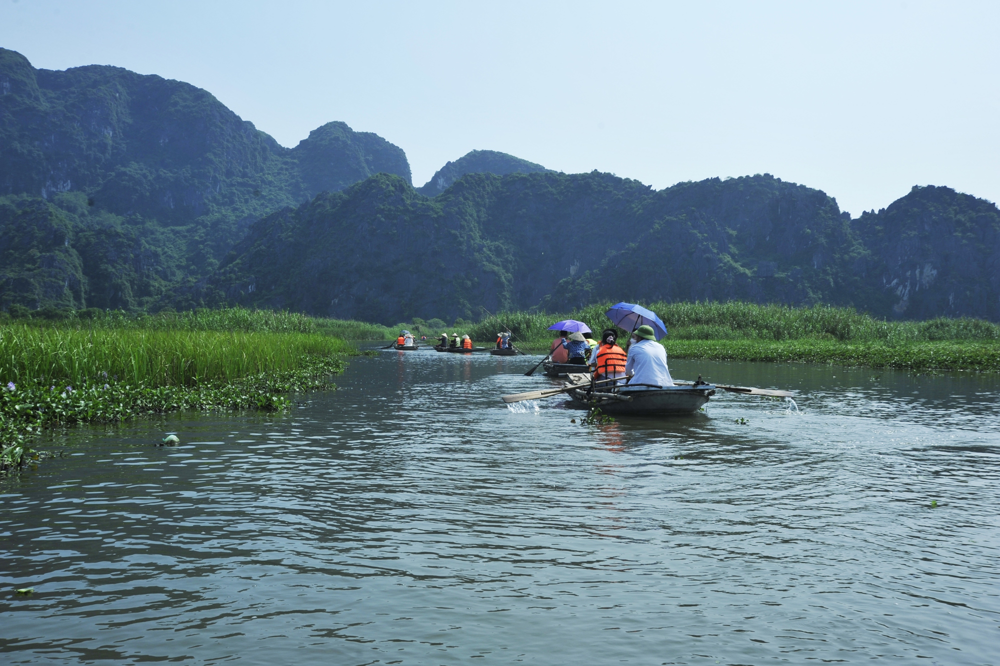 Explore Van Long lagoon - where the famous movie Kong: Skull Island was filmed in Ninh Binh - Photo 1.