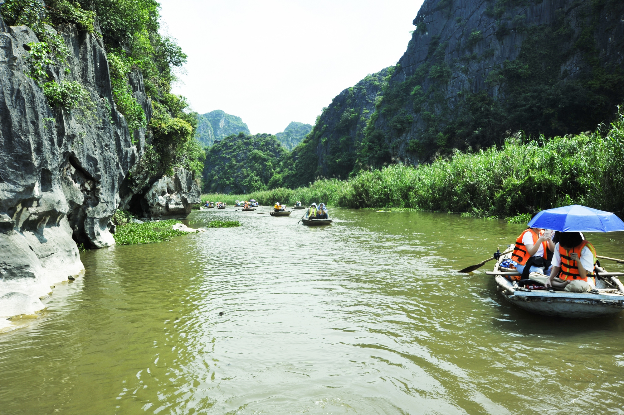 Explore Van Long Lagoon - where the famous movie Kong: Skull Island was filmed in Ninh Binh - Photo 2.