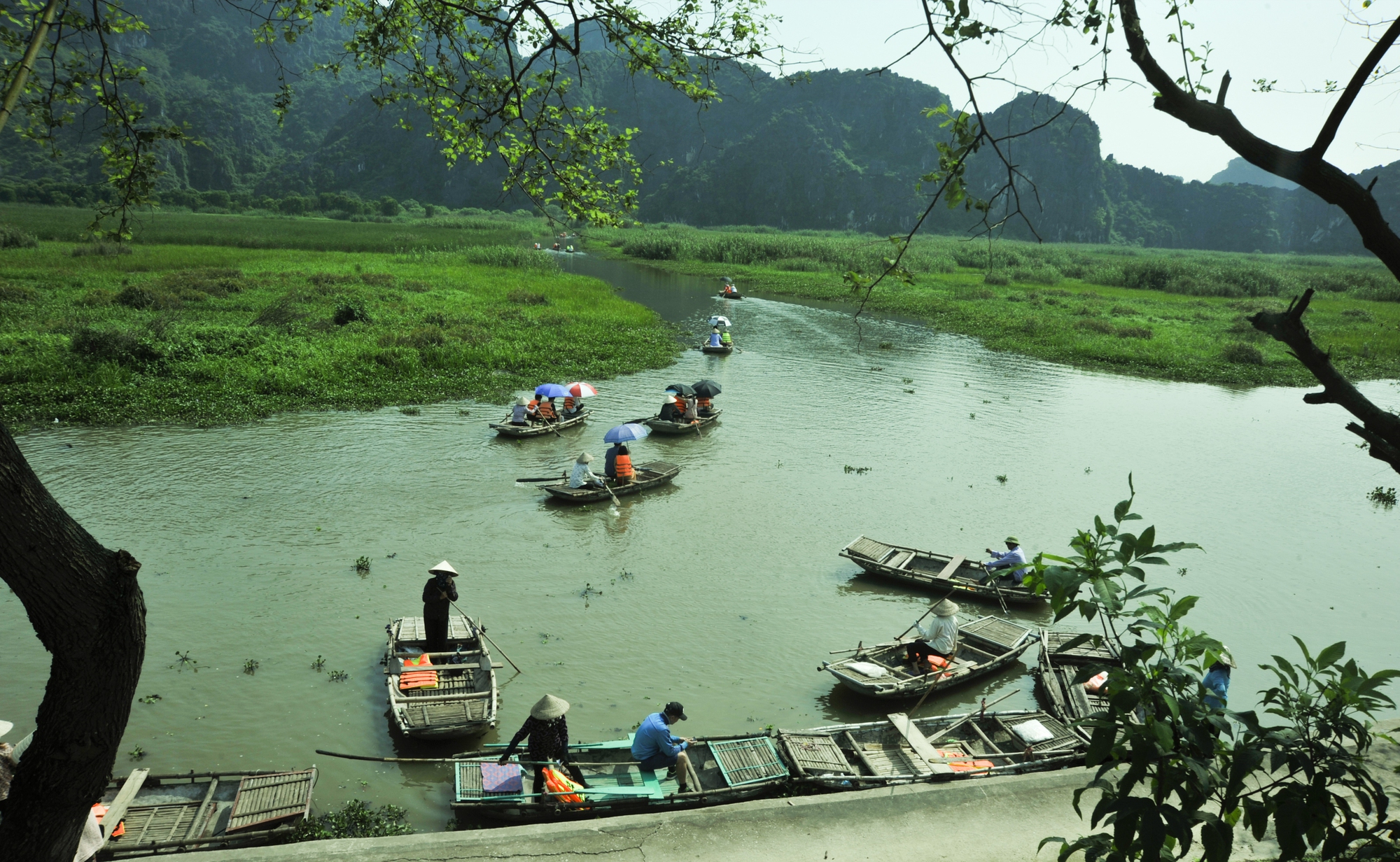 Explore Van Long lagoon - where the famous movie Kong: Skull Island was filmed in Ninh Binh - Photo 7.
