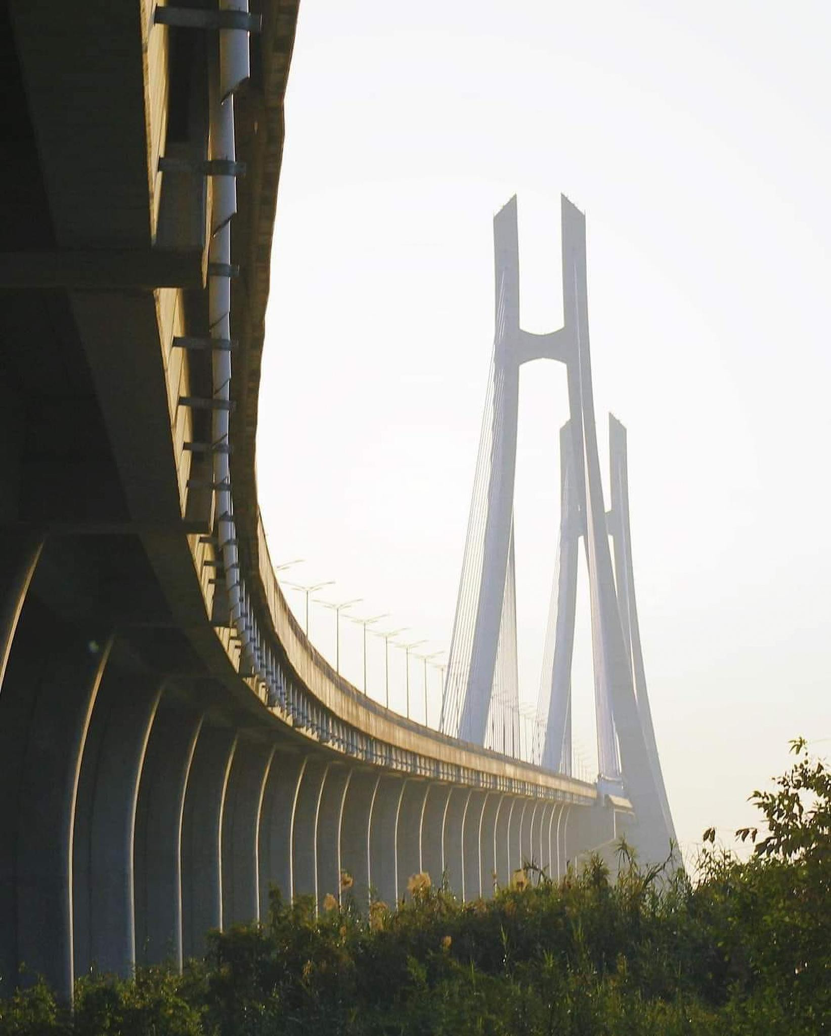 Cầu 5.700 tỷ có trụ tháp cao nhất, cọc khoan sâu nhất Việt Nam - Ảnh 8.