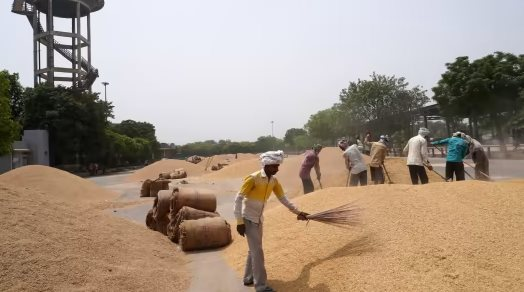 Xuất hiện thêm một quốc gia tăng cường nhập khẩu gạo của Việt Nam, sản lượng xuất khẩu bất ngờ tăng vọt hơn 3.000% trong quý 1 - Ảnh 1.