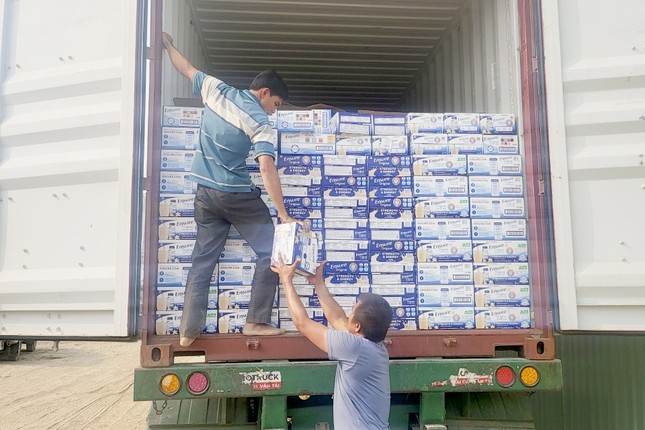 Bắt giám đốc công ty nhập lậu sữa từ Mỹ về Việt Nam - Ảnh 1.