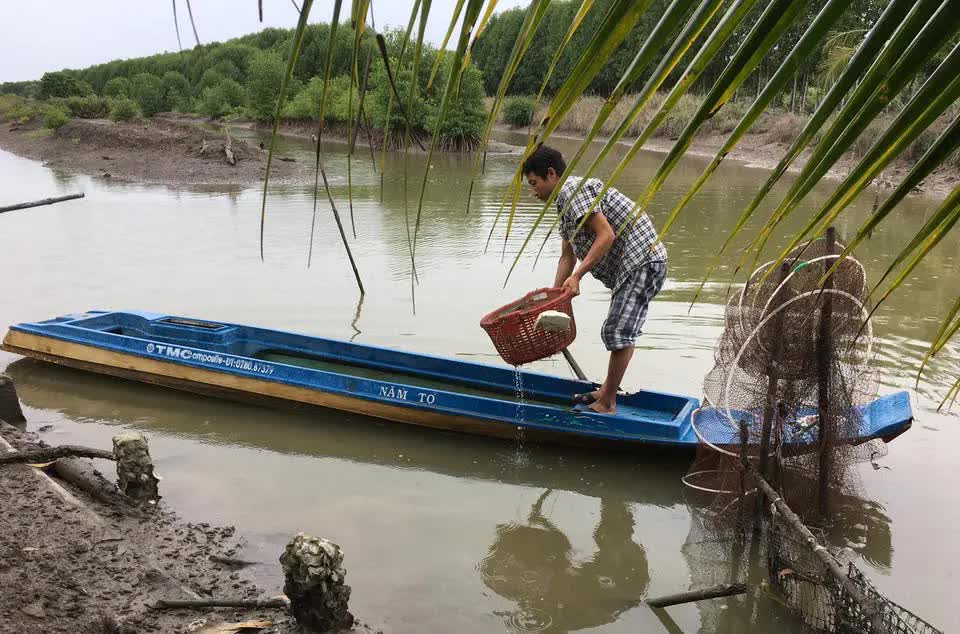 Forbes: Tổ chức khó tính của Mỹ tăng điểm cho loại thủy sản xuất khẩu chủ lực của Việt Nam - Tiềm năng tương lai rộng mở - Ảnh 1.