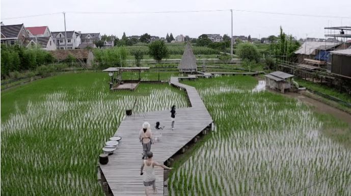Bán nhà thành phố, đôi vợ chồng Trung Quốc về quê mua mảnh đất hoang 12.000m2 sống “tự cung tự cấp”: Tự do về cả vật chất lẫn tinh thần - Ảnh 3.