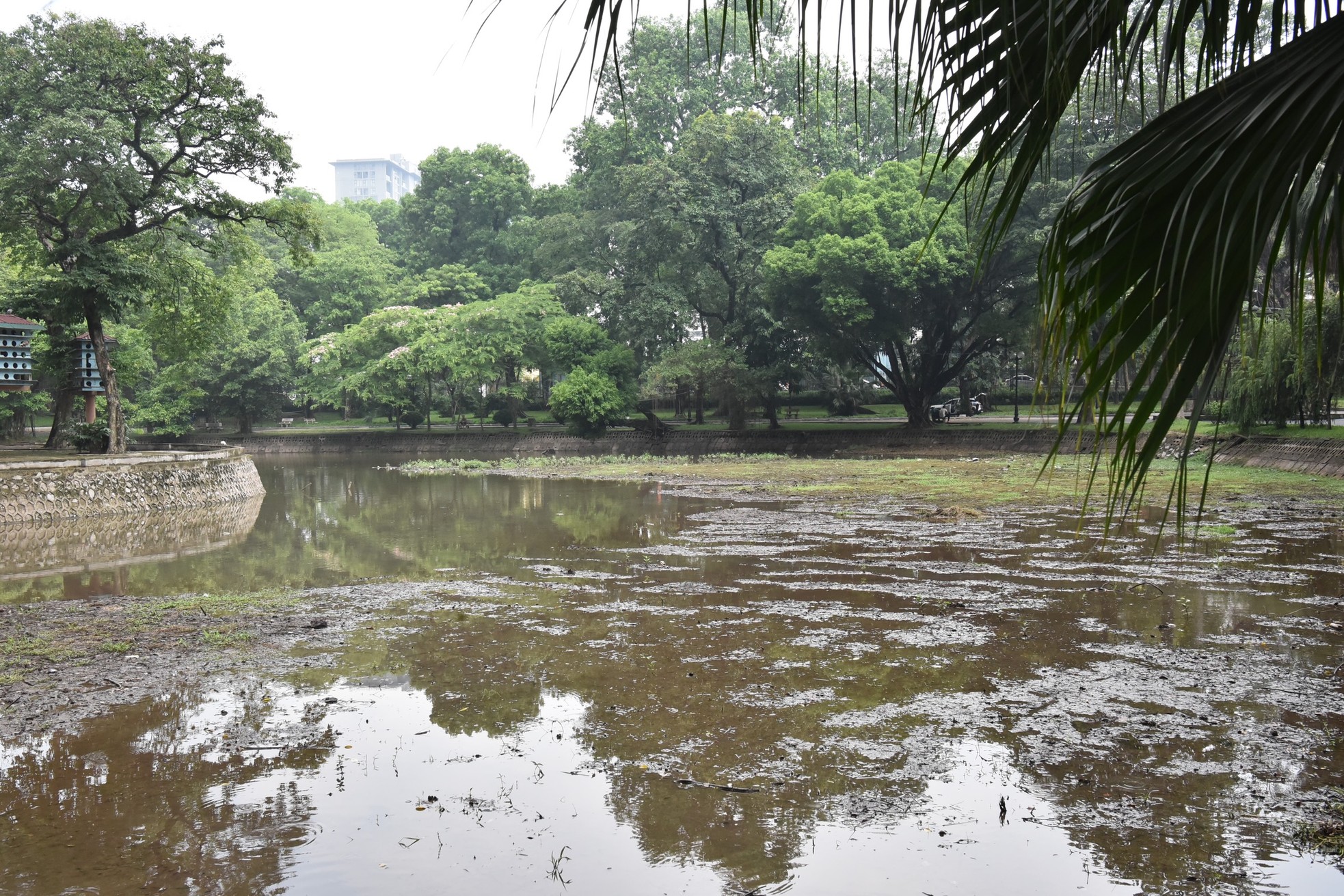 Một số hồ nước ở Hà Nội cạn khô, trơ đáy - Ảnh 10.