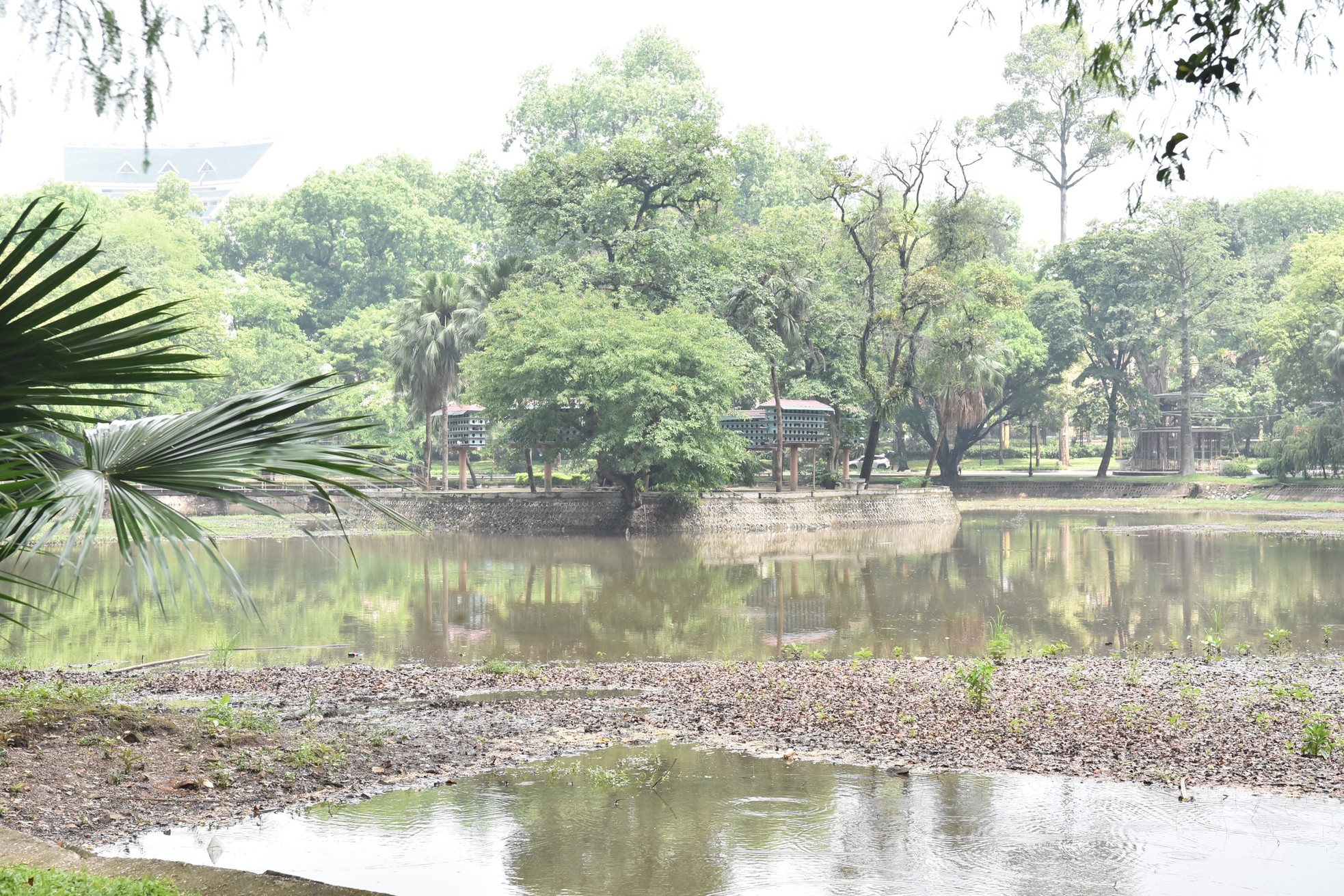 Một số hồ nước ở Hà Nội cạn khô, trơ đáy - Ảnh 15.