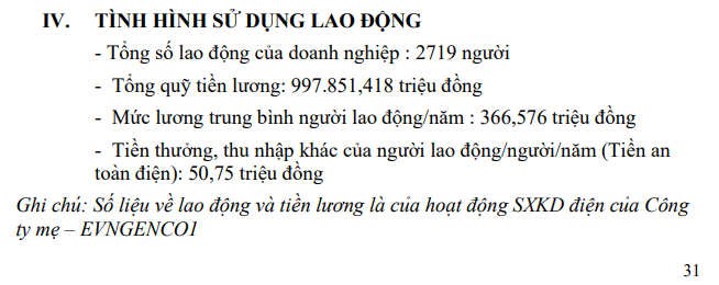 Lãi lớn năm 2022, 1 thành viên của EVN chi nghìn tỷ trả lương thưởng 35 triệu đồng/người/tháng cho gần 3000 nhân viên - Ảnh 1.