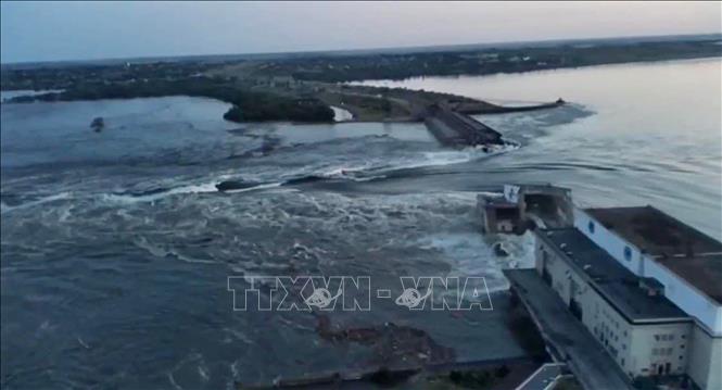 Vụ vỡ đập ở Ukraine biến Biển Đen thành nơi ngập rác và xác động vật - Ảnh 3.