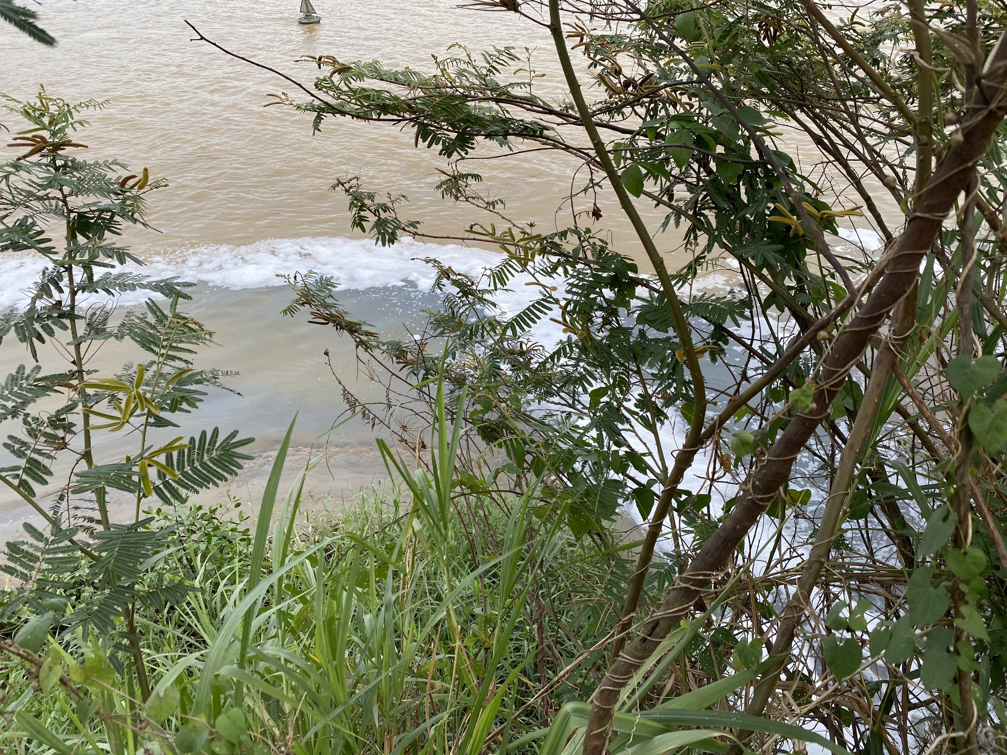 CLIP: Kinh hoàng nước thải đen ngòm đổ ra sông ở Đà Nẵng - Ảnh 10.