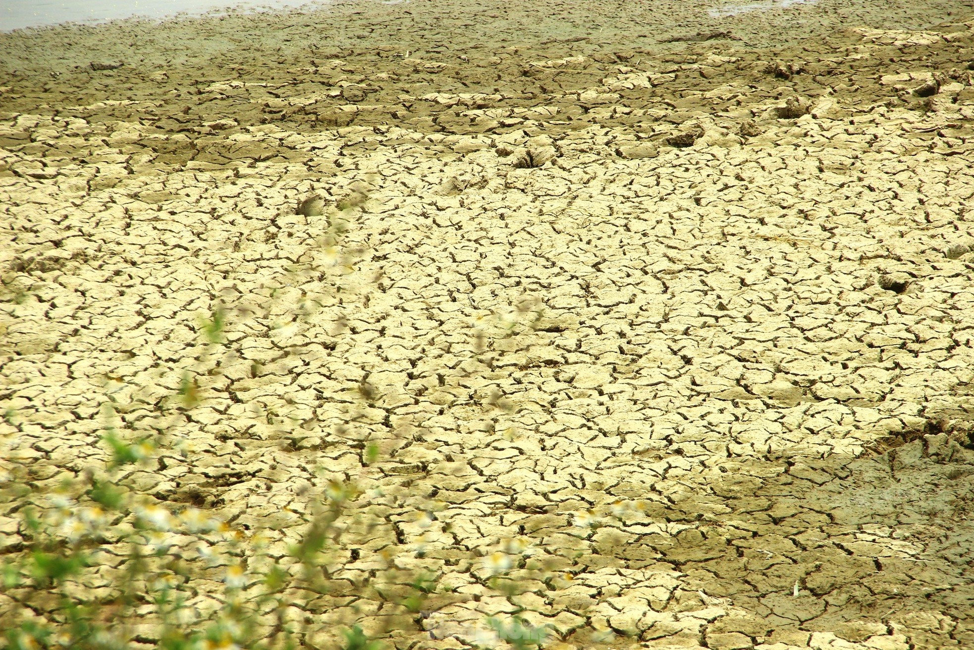 Nắng nóng khốc liệt, nhiều hồ đập ở Nghệ An cạn trơ đáy - Ảnh 5.