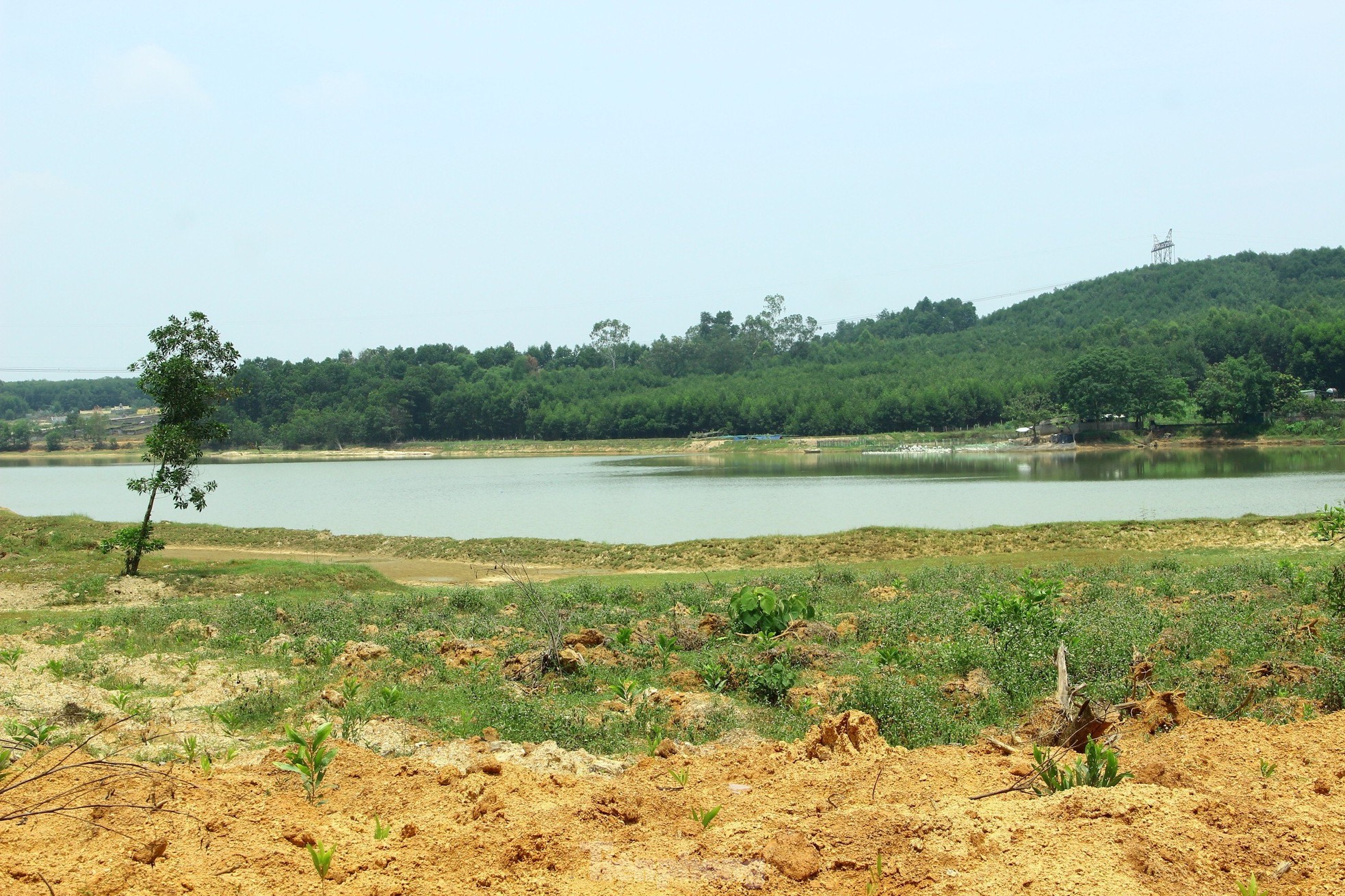 Nắng nóng khốc liệt, nhiều hồ đập ở Nghệ An cạn trơ đáy - Ảnh 8.