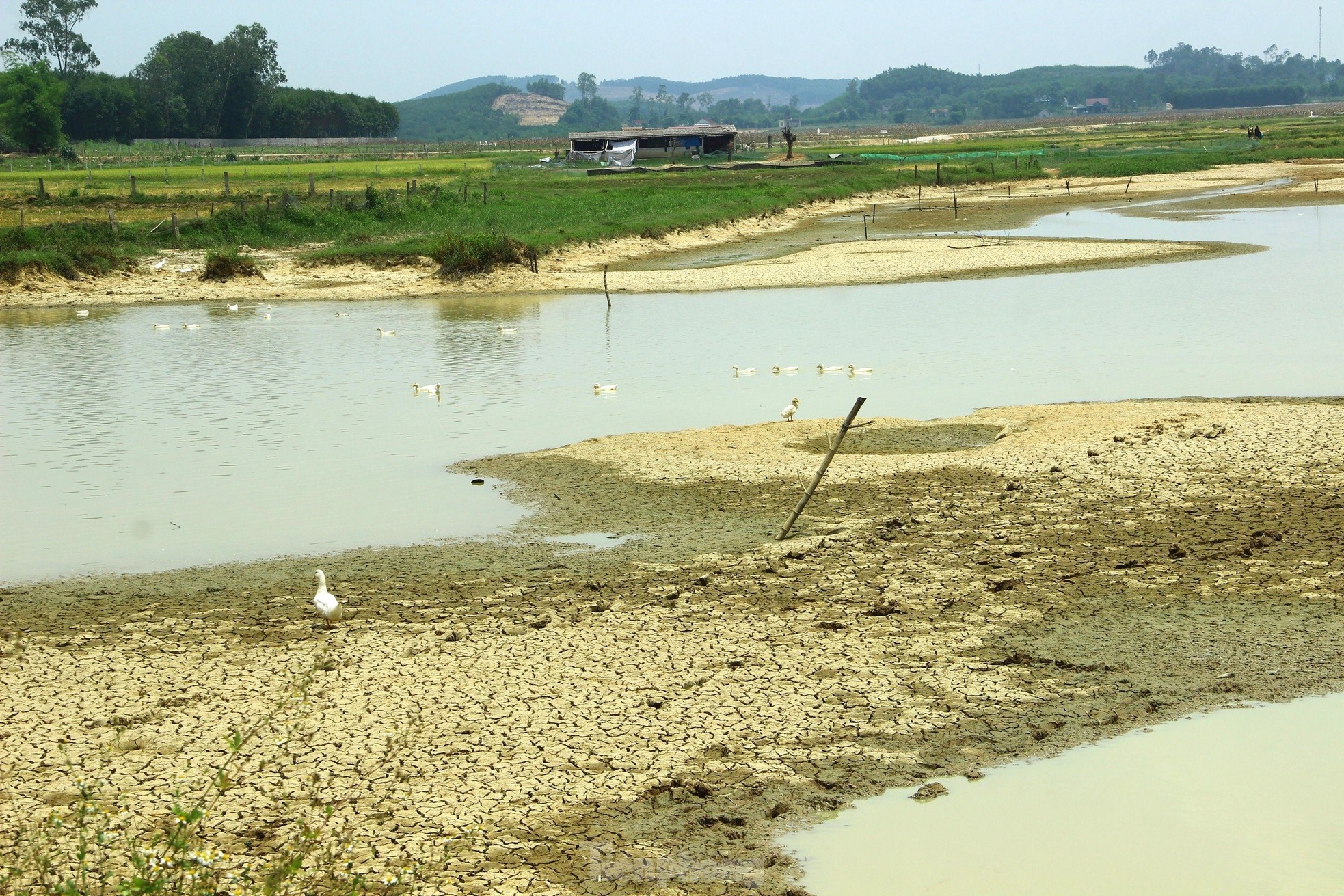 Nắng nóng khốc liệt, nhiều hồ đập ở Nghệ An cạn trơ đáy - Ảnh 1.