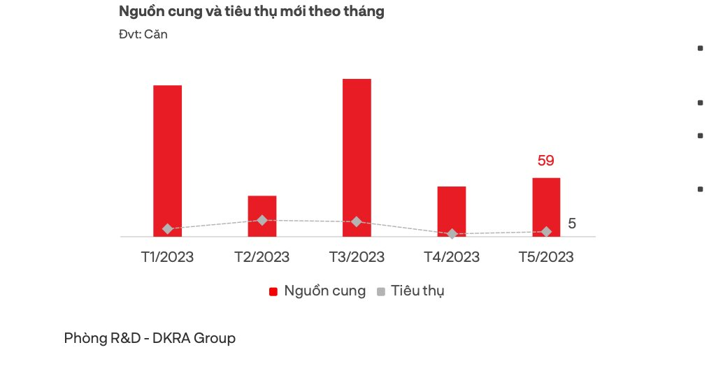 Trong 1 tháng, cả Tp.HCM và vùng phụ cận chỉ bán được 5 căn nhà phố - Ảnh 1.