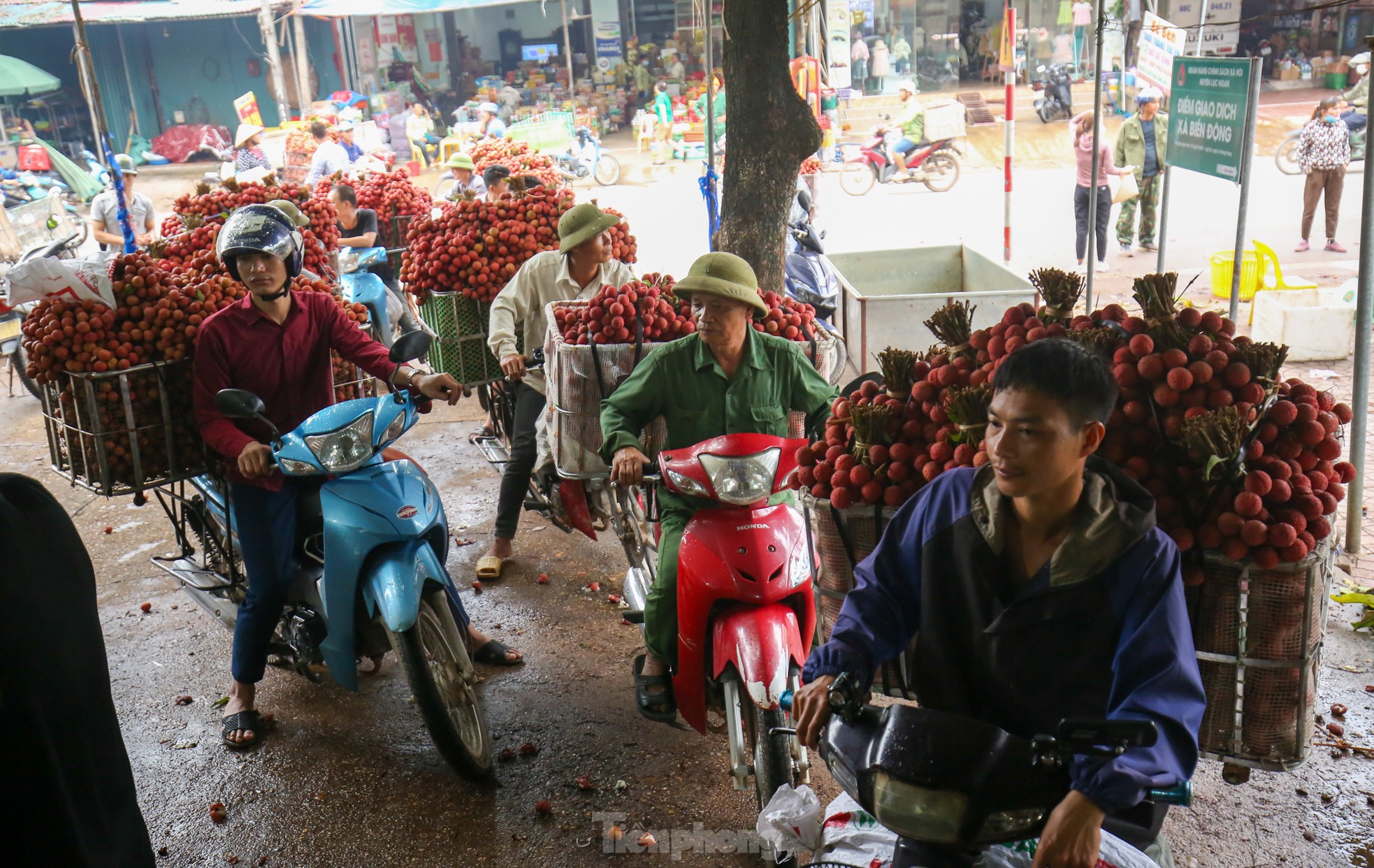 Hàng trăm xe nối đuôi chờ 'ngã giá' thu mua ở thủ phủ vải thiều - Ảnh 10.