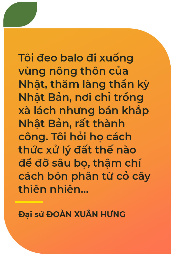 Đại sứ xách ba lô về nông thôn Nhật và màn &quot;bài binh&quot; khéo léo giúp xoài Việt mở cửa thị trường khó tính - Ảnh 2.