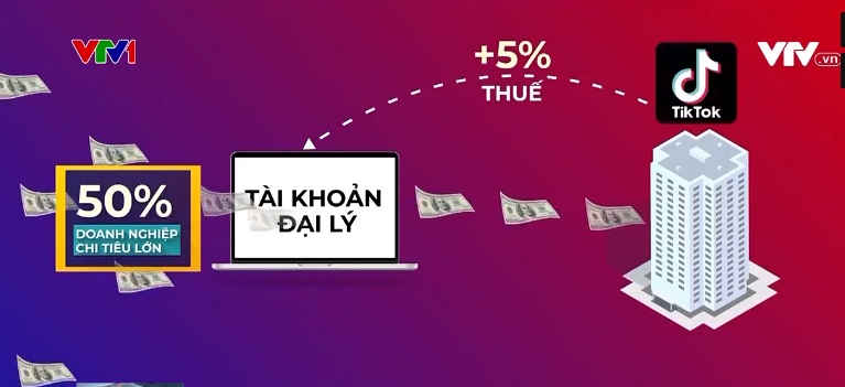 Sẽ rà soát nghĩa vụ kê khai thuế các địa lý của TikTok  - Ảnh 1.