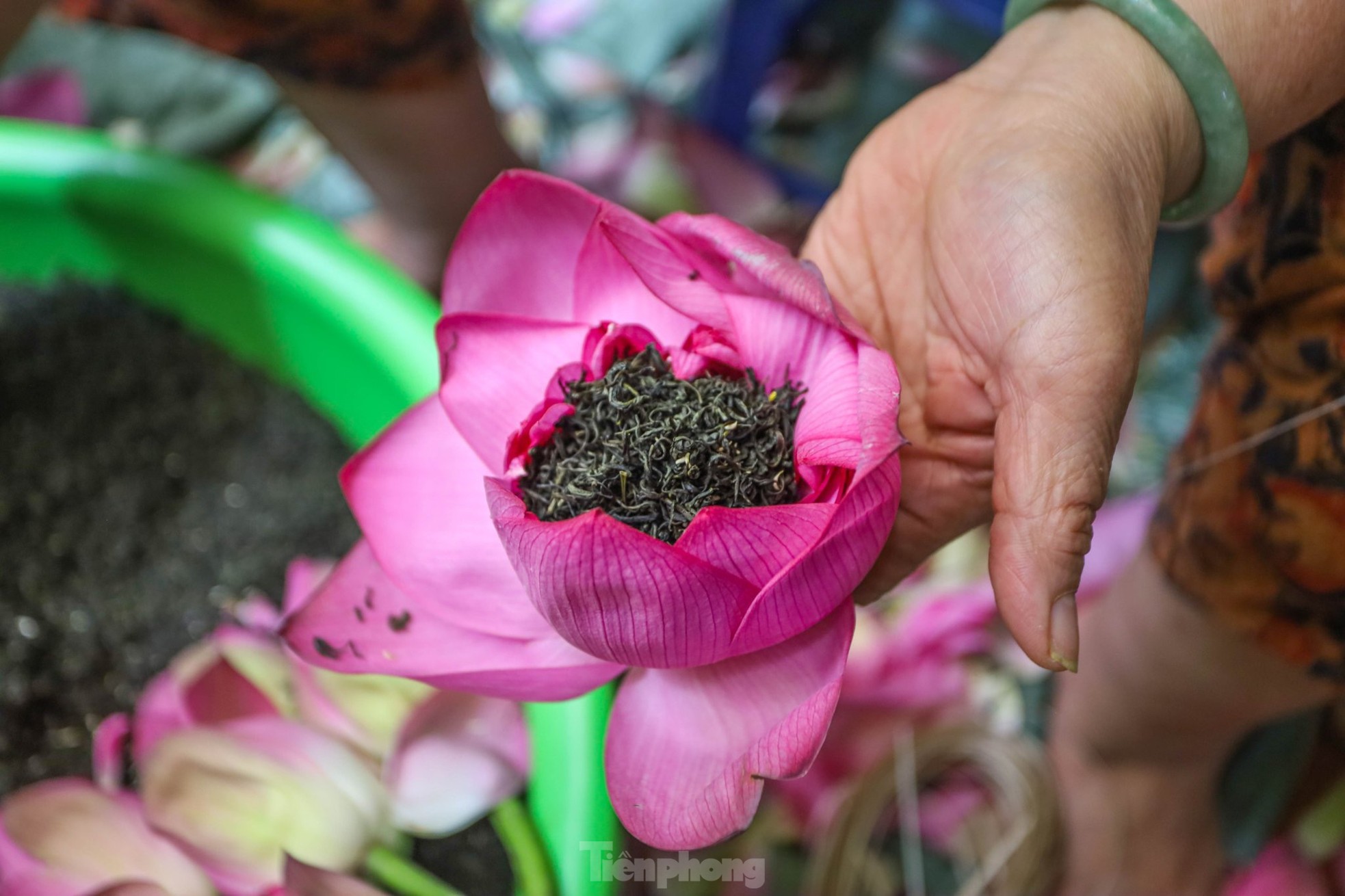 Cận cảnh quy trình ướp trà sen đệ nhất trà Hà thành, giá cả chục triệu đồng/kg - Ảnh 9.