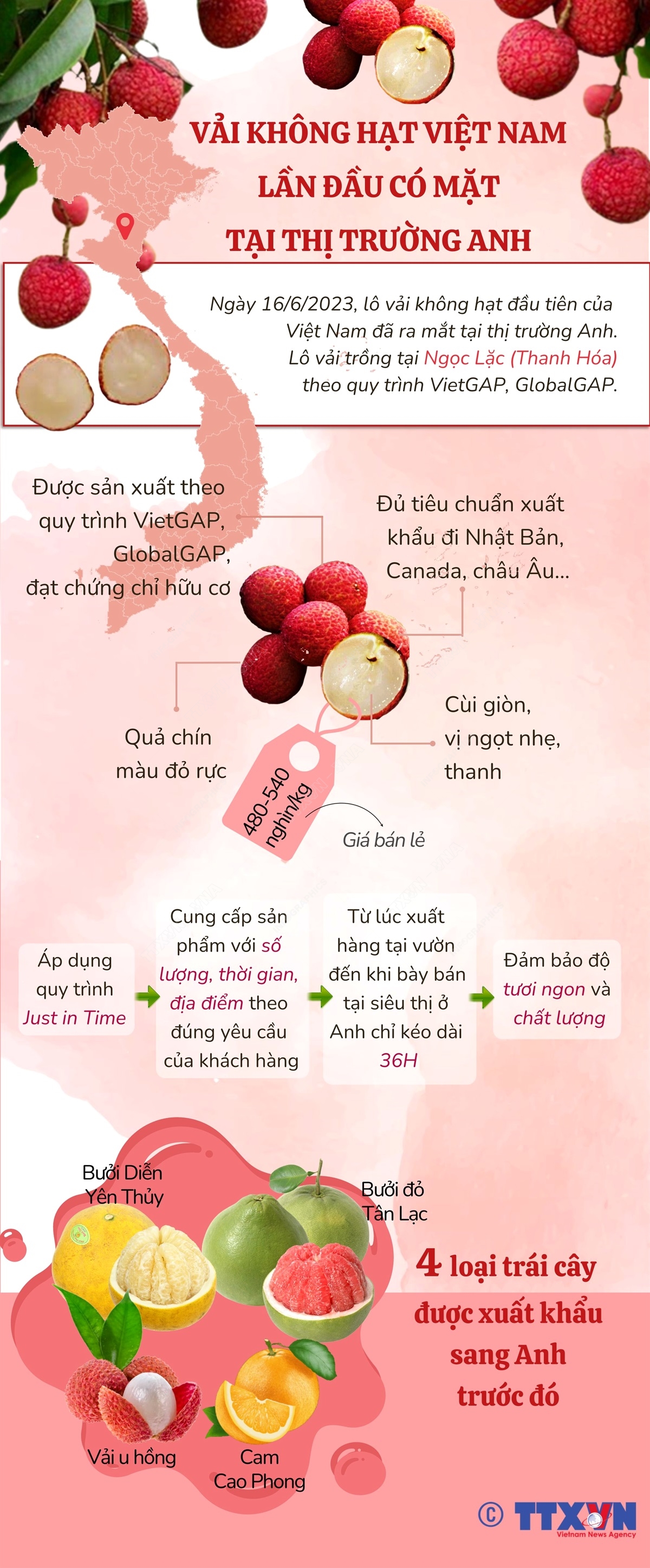 Các loại trái cây Việt Nam được xuất khẩu sang thị trường Anh - Ảnh 1.