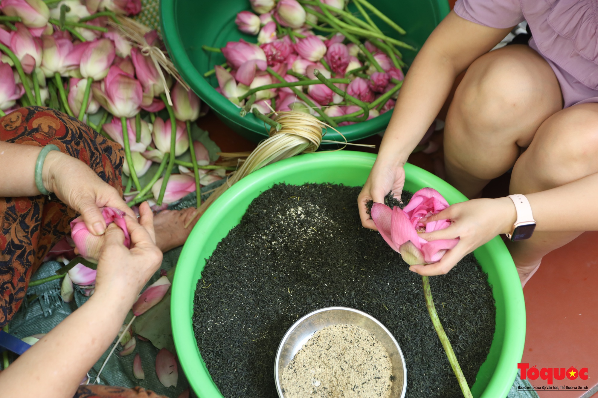 Du khách nước ngoài trải nghiệm ướp trà sen Bách Diệp thức uống tinh hoa của người Hà Nội - Ảnh 18.