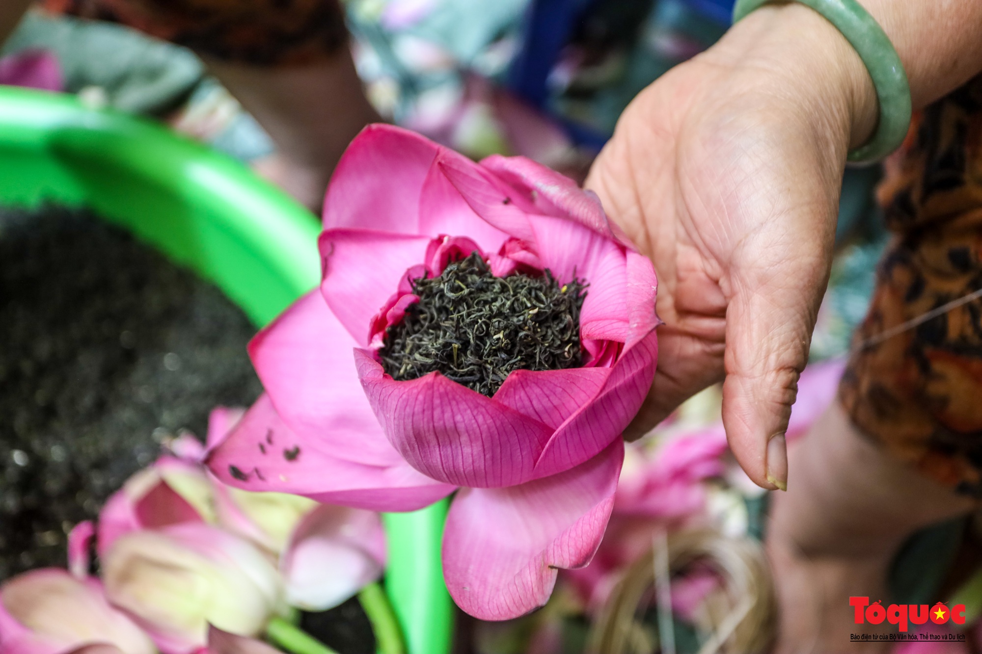 Du khách nước ngoài trải nghiệm ướp trà sen Bách Diệp thức uống tinh hoa của người Hà Nội - Ảnh 17.