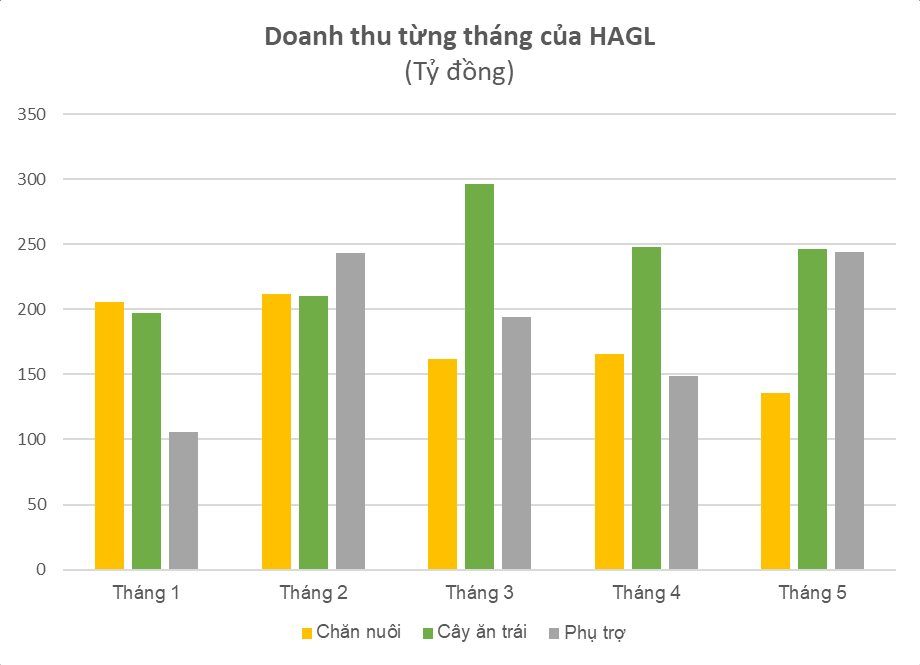 Chưa hưởng lợi từ việc giá heo tăng, Hoàng Anh Gia Lai (HAGL) vẫn báo lãi tháng 5 gấp 2,5 lần tháng trước - Ảnh 1.