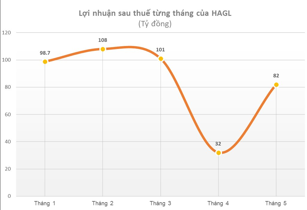 Chưa hưởng lợi từ việc giá heo tăng, Hoàng Anh Gia Lai (HAGL) vẫn báo lãi tháng 5 gấp 2,5 lần tháng trước - Ảnh 2.