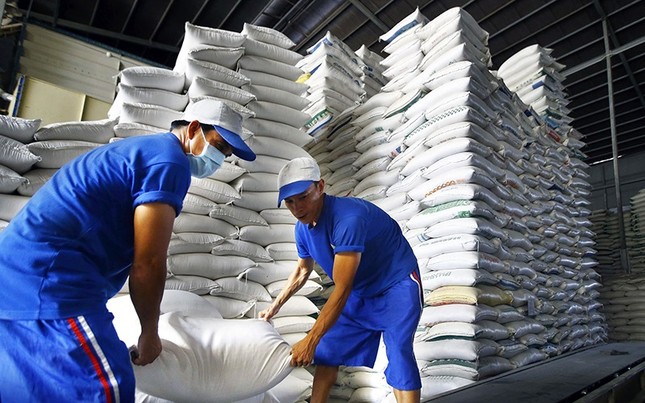 Giá gạo Việt vượt Thái Lan đứng số 1 thế giới - Ảnh 1.