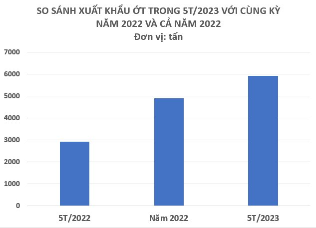 Loại quả gia vị của Việt Nam được Trung Quốc săn lùng đến 90% sản lượng, xuất khẩu tăng đột biến hơn 100% trong 5 tháng đầu năm - Ảnh 2.