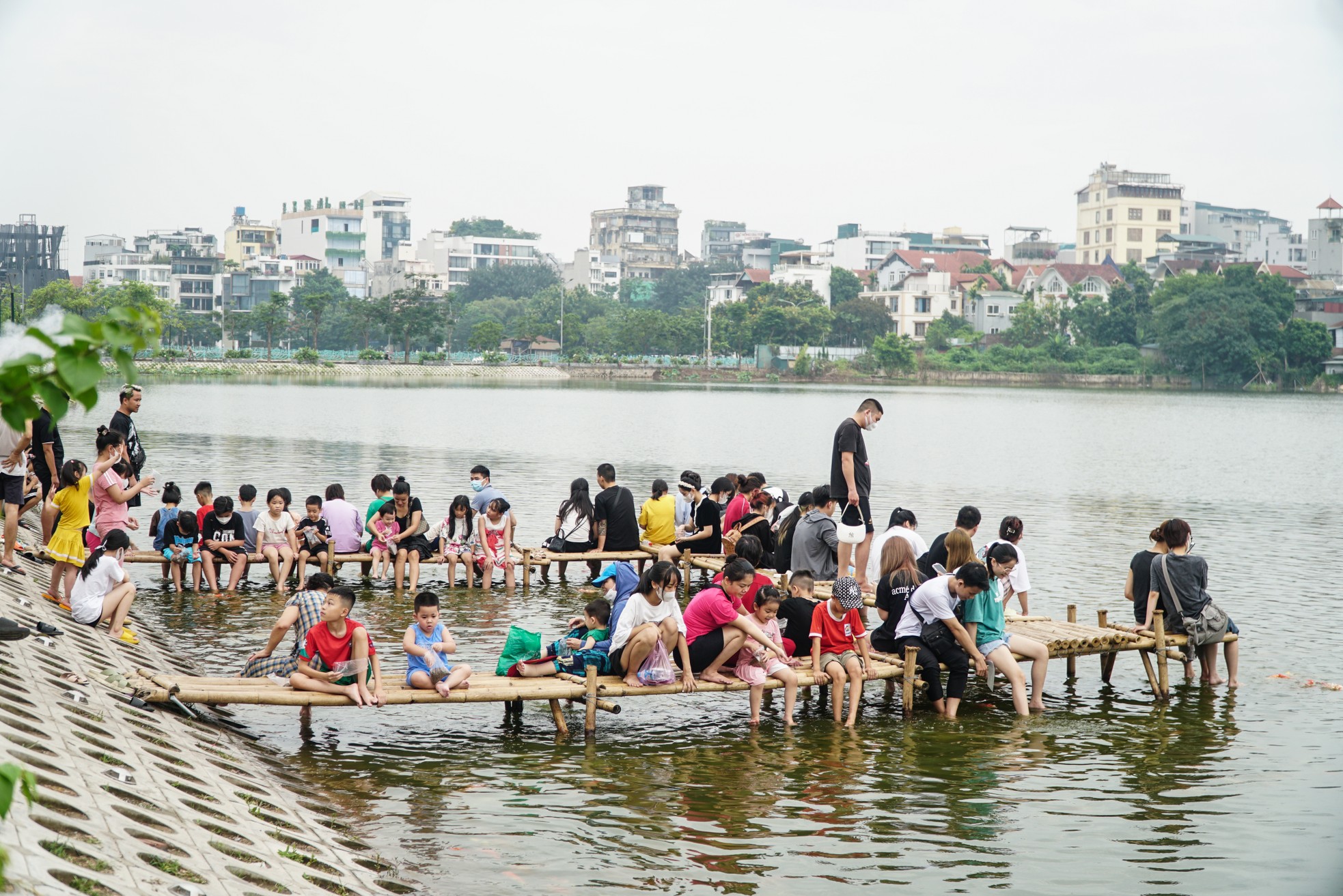 Ngất ngây sắc màu của vạn con cá Koi khi đến hồ Tây - Ảnh 3.