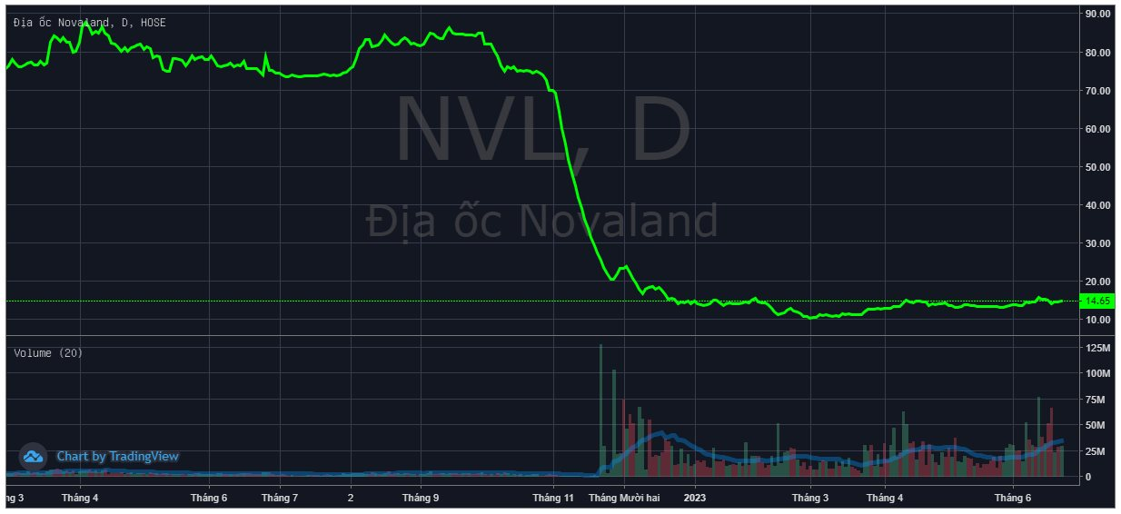 Số lượng cổ đông của Novaland tăng vọt sau vài tháng, từng có giai đoạn trung bình mỗi ngày kết nạp thêm gần 700 &quot;chứng sĩ&quot; - Ảnh 2.