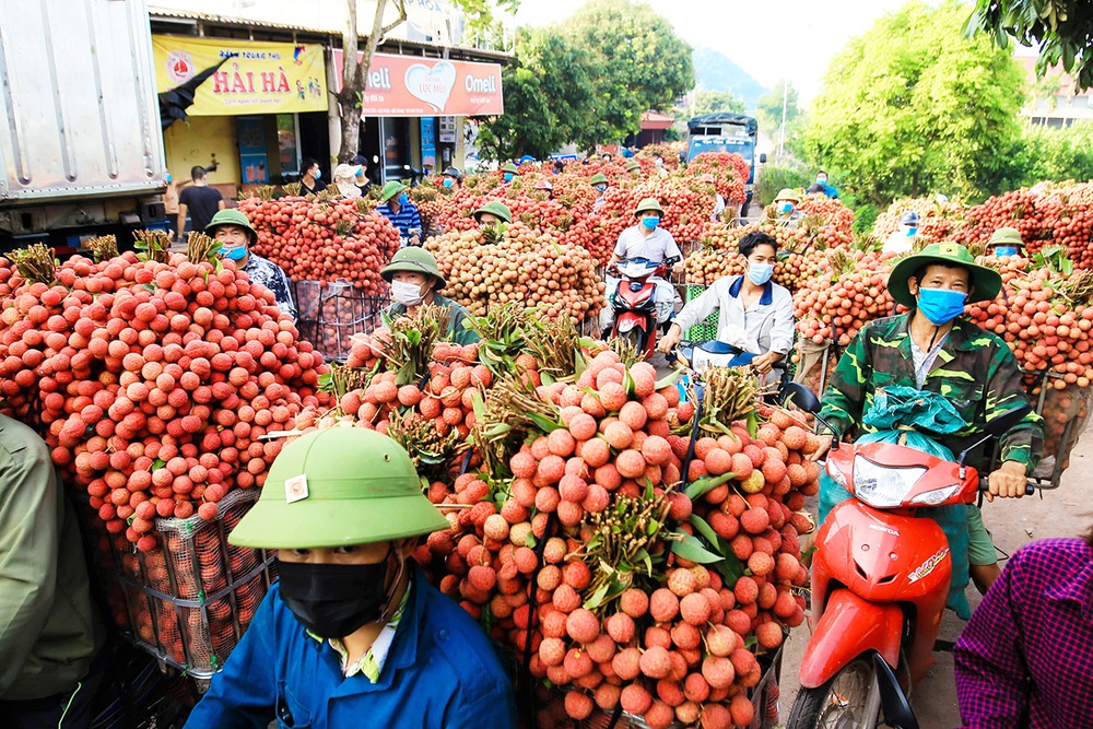 Loại quả bán la liệt ngoài đường tại Việt Nam, giá chỉ 10.000 đồng/kg, xuất ngoại thành hàng &quot;hot&quot;, giá gần 1 triệu đồng/kg - Ảnh 2.