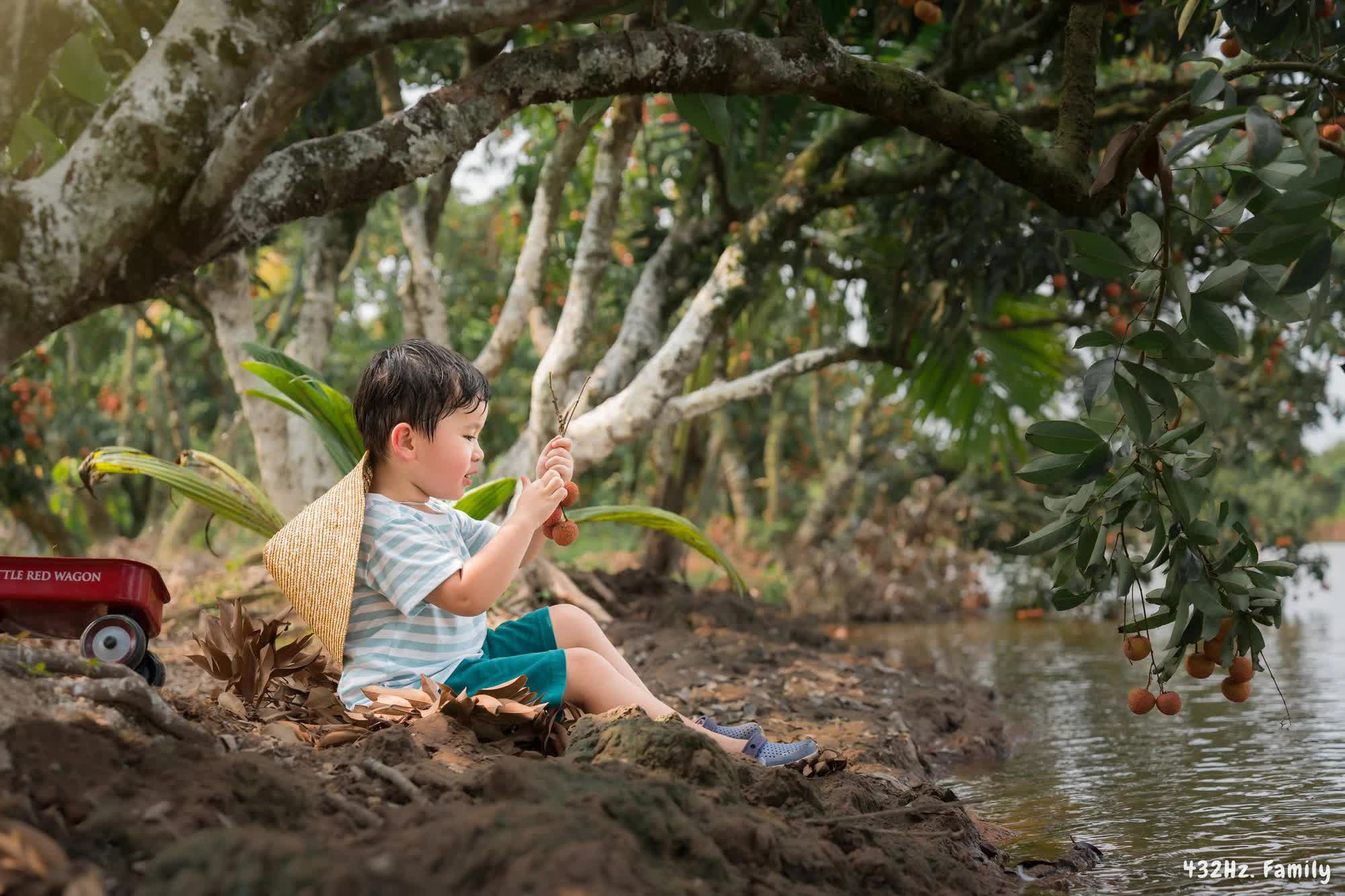 Trốn nóng Hà Nội, em bé cùng bố mẹ trải nghiệm ngồi ghe tự tay hái và thưởng thức vải trên đất Thanh Hà - Ảnh 6.
