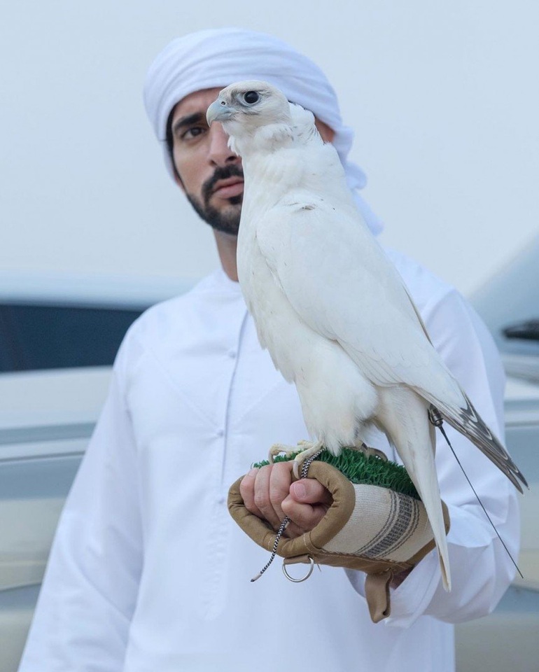 Thái tử đẹp trai nhất Dubai: Cuộc sống nhung lụa 'thích là nhích' bằng chuyên cơ đi khắp thế giới, BST toàn Ferrari, Lamborghini nhưng vẫn 'làm thêm' nhiều nghề vì một lý do - Ảnh 8.