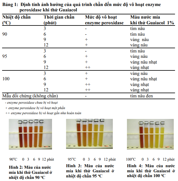 Bán đầy vỉa hè Việt Nam, nhưng đây là đồ uống có hạn sử dụng ngắn nhất hành tinh: Nước mía lít - Ảnh 6.