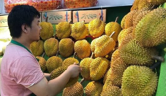 Xuất khẩu loại 'quả vàng quả bạc' này đã tăng hơn 1.700% kể từ đầu năm, Trung Quốc ồ ạt thu mua do diện tích trồng chưa đến 1/1.000 so với Việt Nam - Ảnh 1.