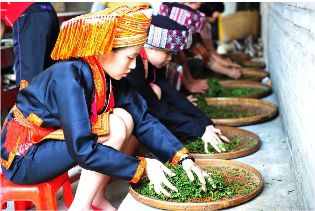 Một loại trà Trung Quốc nổi tiếng sử dụng nguyên liệu Việt Nam cho chất lượng vượt trội so với trà Phổ Nhĩ - Ảnh 2.