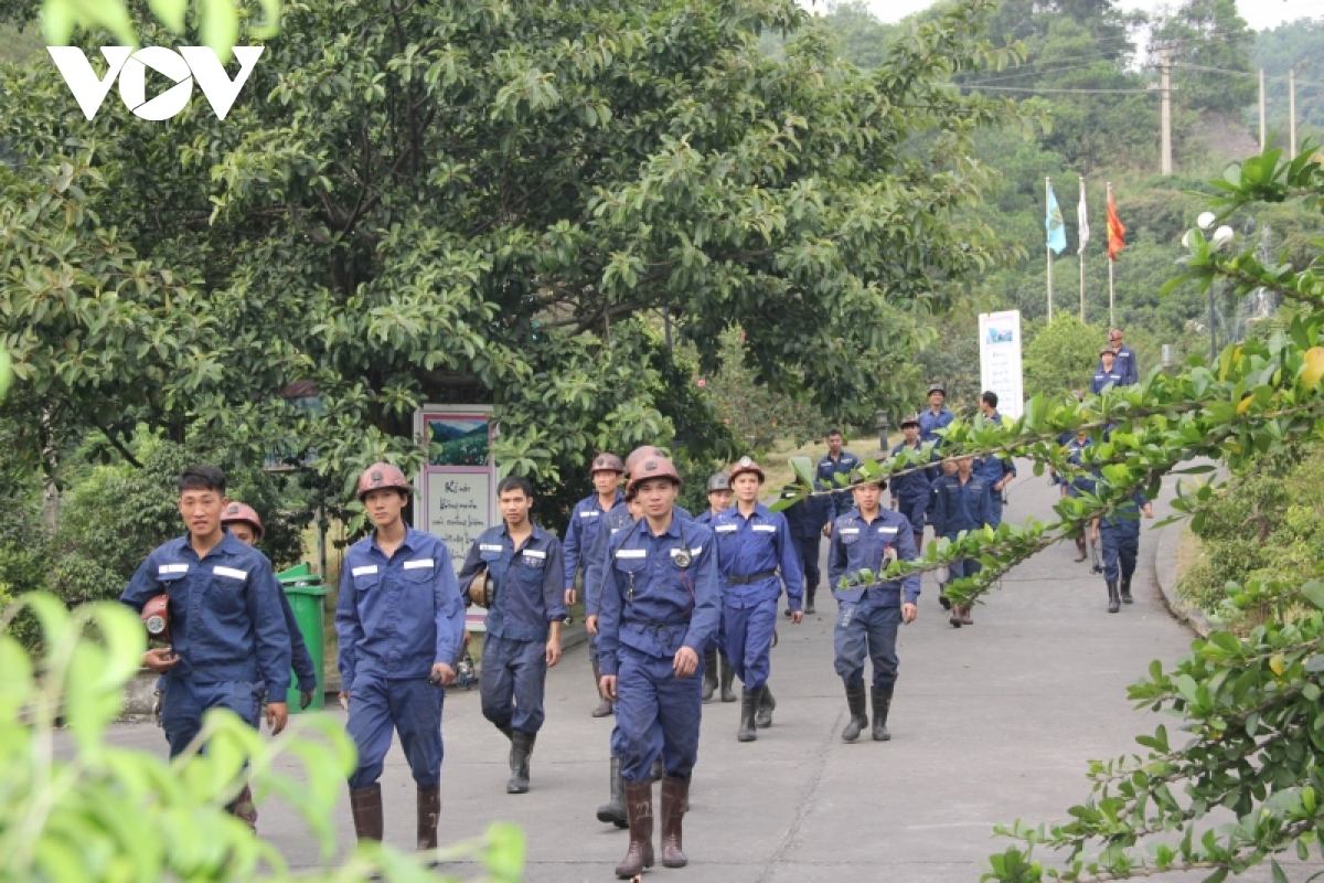 Ngành than đảm bảo cung ứng đủ than cho các nhà máy nhiệt điện - Ảnh 1.