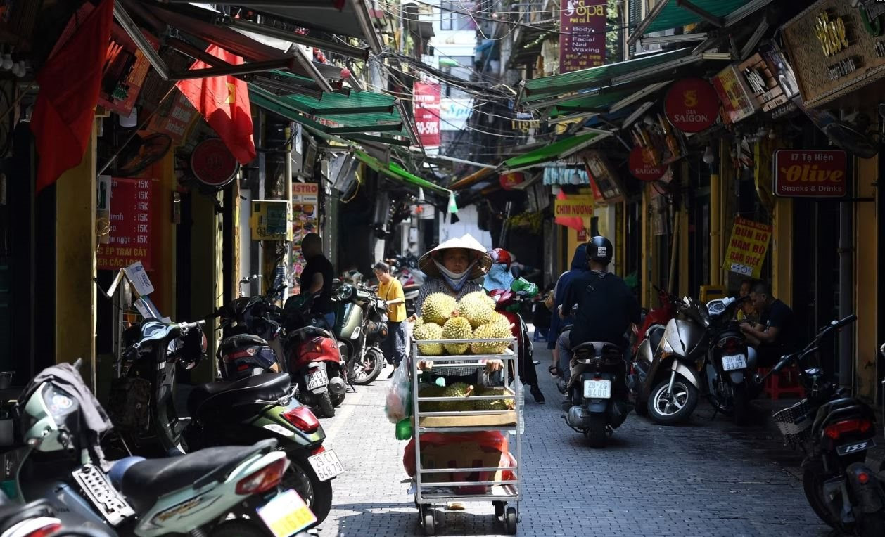 Trung Quốc thu hoạch vụ sầu riêng đầu tiên, hàng Việt Nam tự tin &quot;sống tốt&quot;, thẳng tiến thị trường toàn cầu - Ảnh 2.