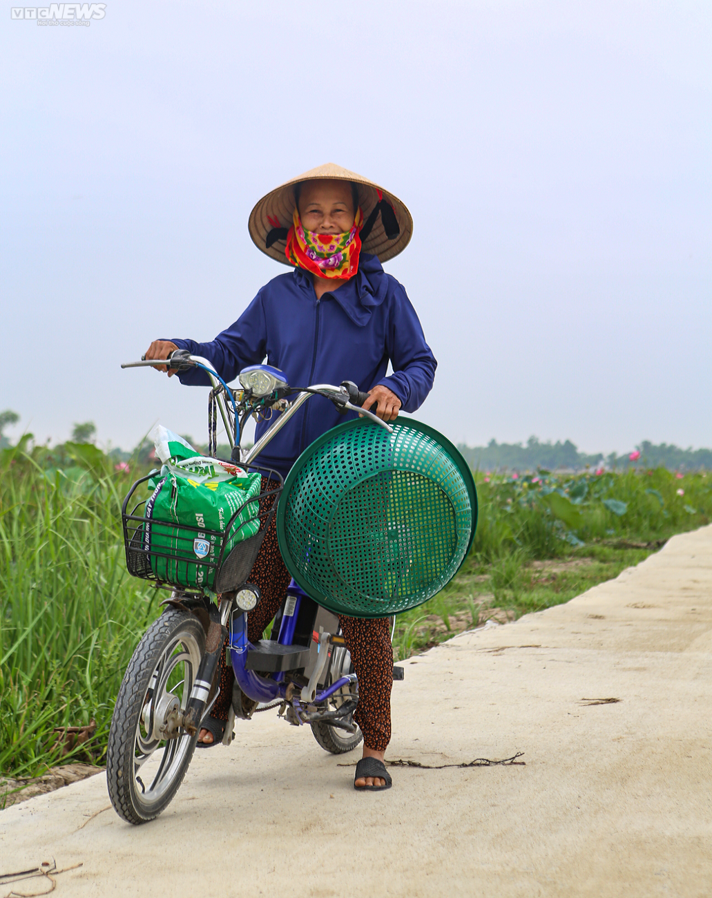 Rộn ràng mùa thu hoạch hạt ‘thần dược’, nông dân thu hàng chục triệu đồng mỗi vụ - Ảnh 2.