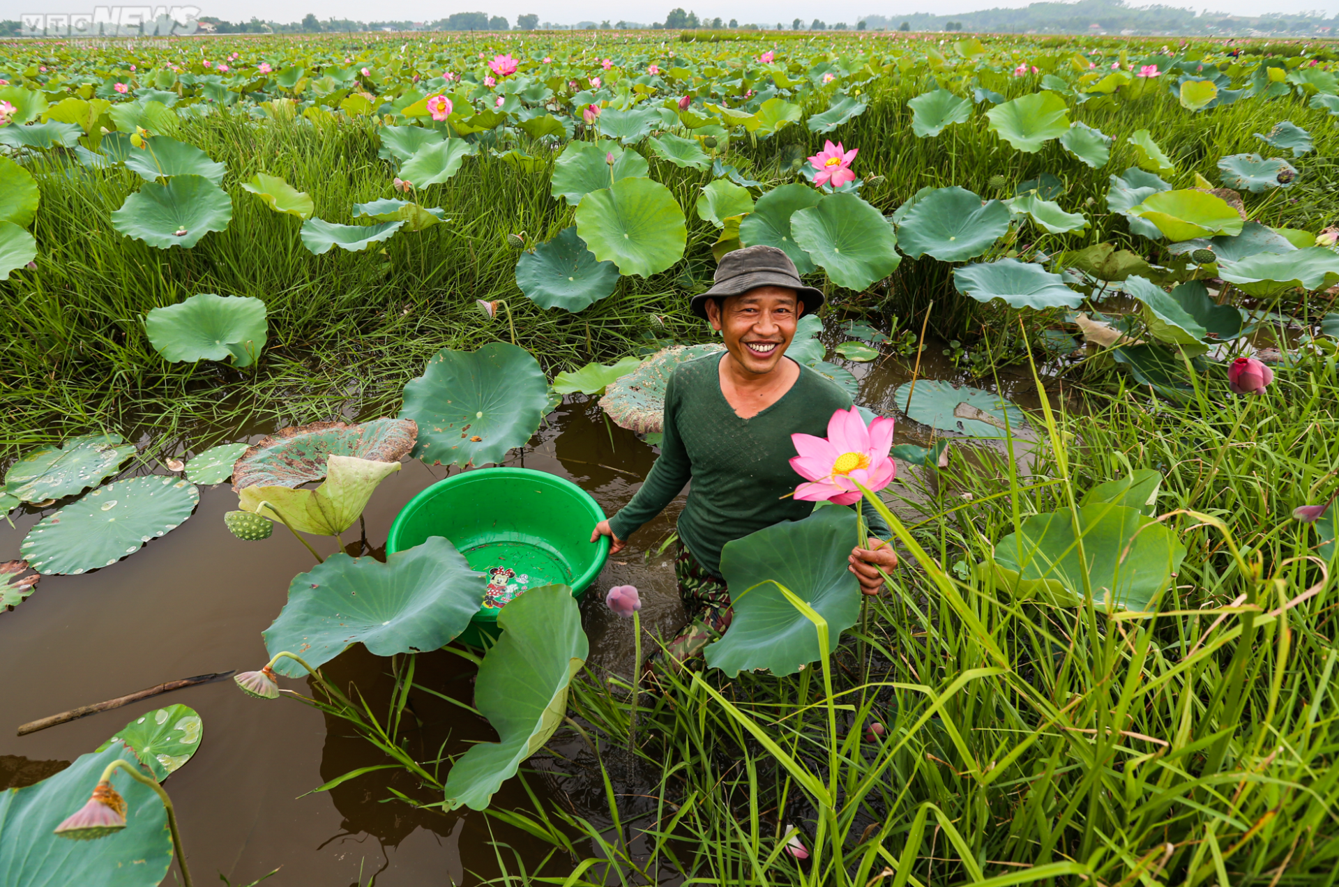 Rộn ràng mùa thu hoạch hạt ‘thần dược’, nông dân thu hàng chục triệu đồng mỗi vụ - Ảnh 11.