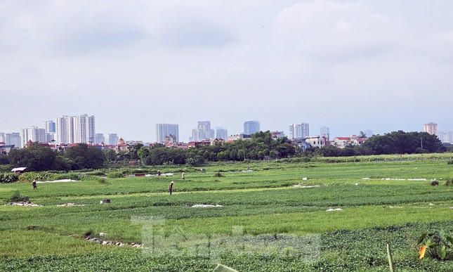 Siêu dự án khu nhà ở sinh thái Đồng Mai 'ôm' đất gần 20 năm không triển khai - Ảnh 1.