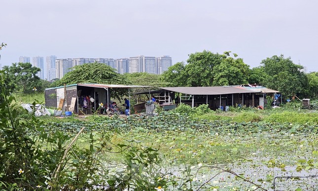 Siêu dự án khu nhà ở sinh thái Đồng Mai 'ôm' đất gần 20 năm không triển khai - Ảnh 4.