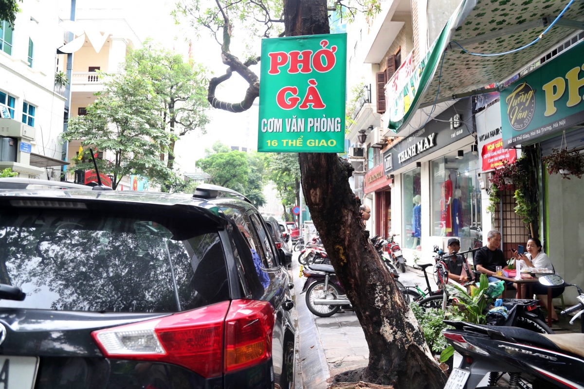 Cây xanh chết hàng loạt trên phố Hà Nội nguy cơ mất an toàn cho người dân - Ảnh 11.