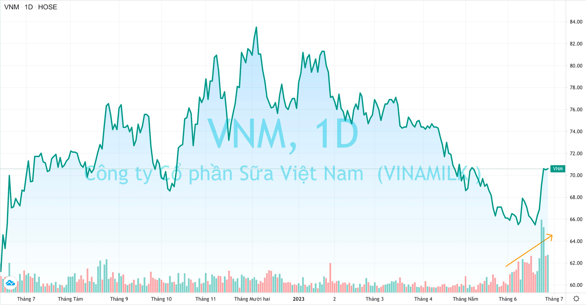 Khối ngoại bán ròng Vinamilk 5 tháng liên tiếp, điều gì đang diễn ra? - Ảnh 1.