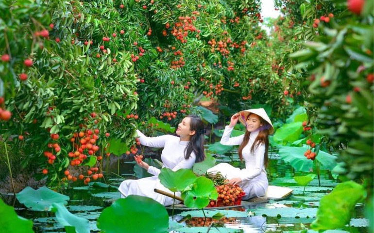 Khám phá "miền Tây thu nhỏ" ở đất vải Hải Dương - Ảnh 1.