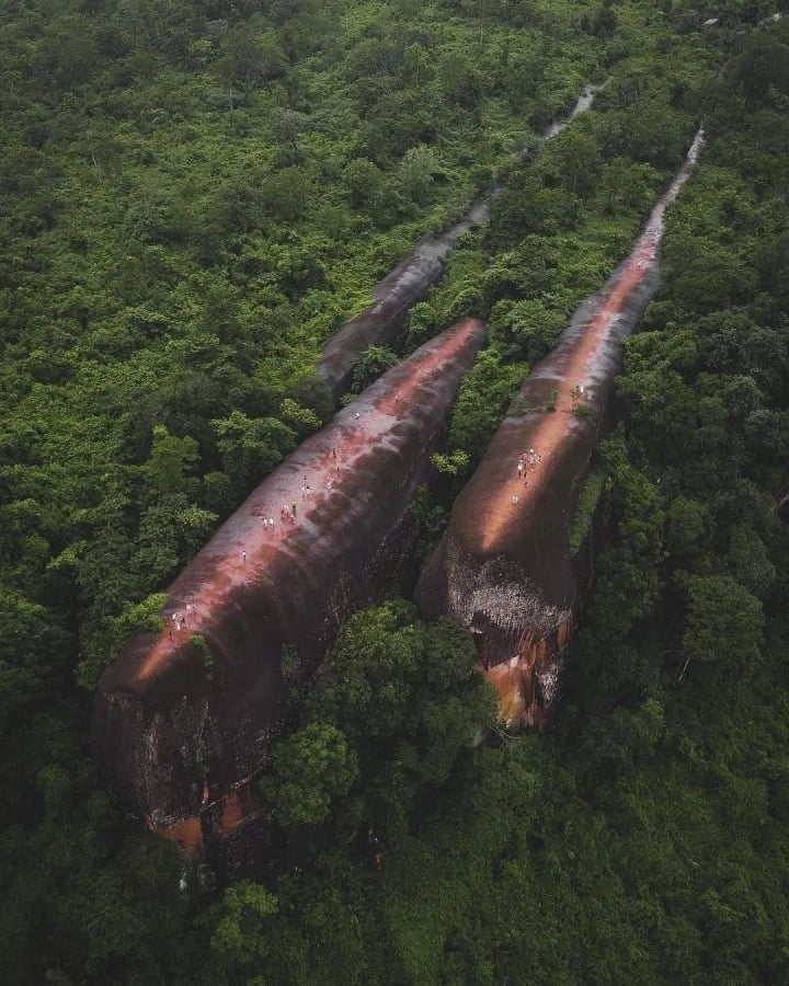Chiêm ngưỡng cảnh quan kỳ vĩ đá cá voi khổng &quot;bơi&quot; giữa rừng rậm Thái Lan - Ảnh 2.